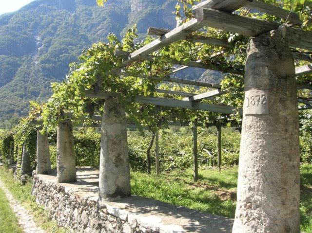 Asd -Sport E Giovani Hotel Borgofranco d'Ivrea Ngoại thất bức ảnh